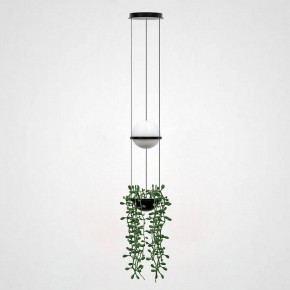 Подвесной светильник Imperiumloft Palma Wall Lamp 22.93727 в Краснокамске - krasnokamsk.mebel24.online | фото