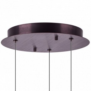 Подвесной светильник Lightstar Caramello 796139 в Краснокамске - krasnokamsk.mebel24.online | фото 13