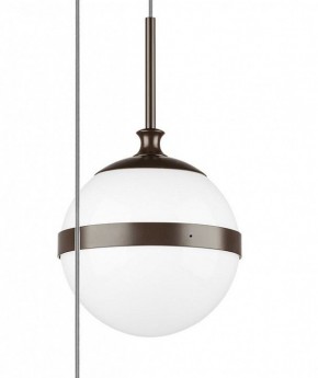 Подвесной светильник Lightstar Globo 813137 в Краснокамске - krasnokamsk.mebel24.online | фото 5