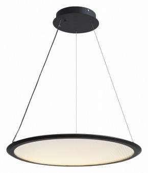 Подвесной светильник Lightstar Rotonda 736367 в Краснокамске - krasnokamsk.mebel24.online | фото 2