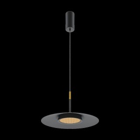 Подвесной светильник Maytoni Halo MOD041PL-L15B3K1 в Краснокамске - krasnokamsk.mebel24.online | фото 4