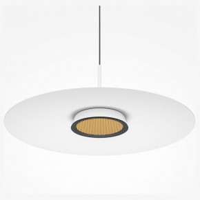 Подвесной светильник Maytoni Halo MOD041PL-L15W3K1 в Краснокамске - krasnokamsk.mebel24.online | фото