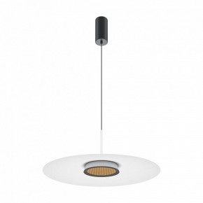 Подвесной светильник Maytoni Halo MOD041PL-L15W3K1 в Краснокамске - krasnokamsk.mebel24.online | фото 2