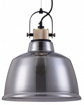 Подвесной светильник Maytoni Irving T163PL-01C в Краснокамске - krasnokamsk.mebel24.online | фото 2