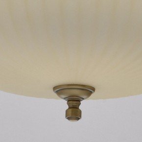 Подвесной светильник MW-Light Афродита 1 317010504 в Краснокамске - krasnokamsk.mebel24.online | фото 9