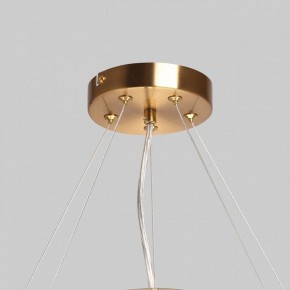 Подвесной светильник MW-Light Илоника 10 451013006 в Краснокамске - krasnokamsk.mebel24.online | фото 10