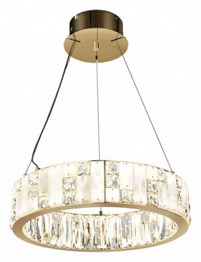 Подвесной светильник Odeon Light Crossa 5072/60L в Краснокамске - krasnokamsk.mebel24.online | фото 2