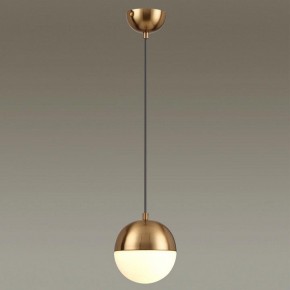 Подвесной светильник Odeon Light Pinga 4960/1 в Краснокамске - krasnokamsk.mebel24.online | фото 2