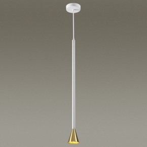 Подвесной светильник Odeon Light Pipa 3884/1GW в Краснокамске - krasnokamsk.mebel24.online | фото 3
