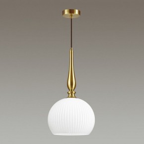 Подвесной светильник Odeon Light Runga 4766/1 в Краснокамске - krasnokamsk.mebel24.online | фото 4