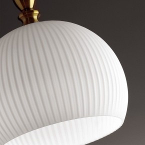 Подвесной светильник Odeon Light Runga 4766/1 в Краснокамске - krasnokamsk.mebel24.online | фото 8