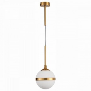 Подвесной светильник ST-Luce Arbe SL1157.303.01 в Краснокамске - krasnokamsk.mebel24.online | фото 2