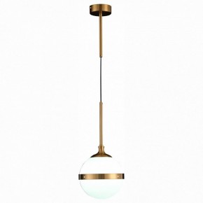 Подвесной светильник ST-Luce Arbe SL1157.303.01 в Краснокамске - krasnokamsk.mebel24.online | фото 3