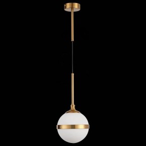 Подвесной светильник ST-Luce Arbe SL1157.303.01 в Краснокамске - krasnokamsk.mebel24.online | фото 4