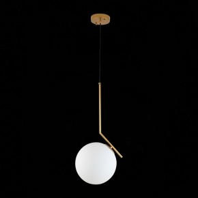 Подвесной светильник ST-Luce Codda SL1148.303.01 в Краснокамске - krasnokamsk.mebel24.online | фото 6