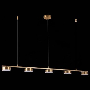 Подвесной светильник ST-Luce Pances SL6000.303.05 в Краснокамске - krasnokamsk.mebel24.online | фото 6