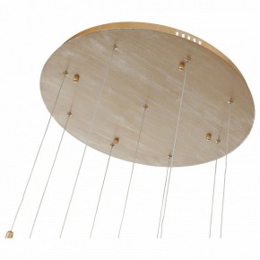 Подвесной светильник ST-Luce SL1116 SL1116.203.09 в Краснокамске - krasnokamsk.mebel24.online | фото 4