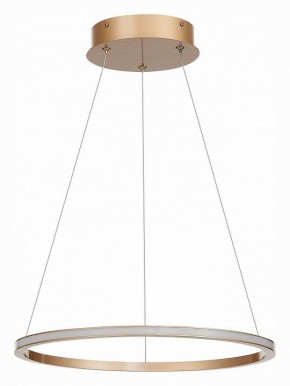 Подвесной светильник ST-Luce ST604 OUT ST604.243.22 в Краснокамске - krasnokamsk.mebel24.online | фото 2