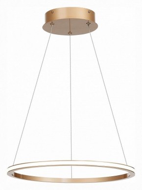 Подвесной светильник ST-Luce ST604 OUT ST604.243.22 в Краснокамске - krasnokamsk.mebel24.online | фото 3