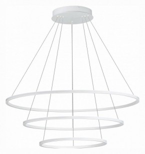 Подвесной светильник ST-Luce ST604 OUT ST604.543.114 в Краснокамске - krasnokamsk.mebel24.online | фото 2