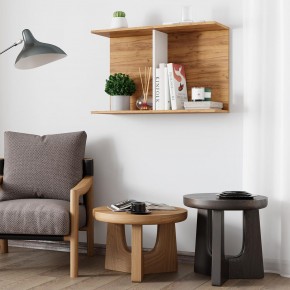 Полка Ион-3 (крафт/белый) в Краснокамске - krasnokamsk.mebel24.online | фото 3