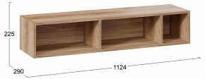 Полка навесная ТД-102.28 в Краснокамске - krasnokamsk.mebel24.online | фото 9