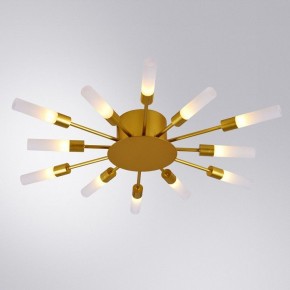 Потолочная люстра Arte Lamp Maple A1276PL-12GO в Краснокамске - krasnokamsk.mebel24.online | фото 1