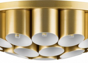 Потолочная люстра Lightstar Siena 720222 в Краснокамске - krasnokamsk.mebel24.online | фото 3