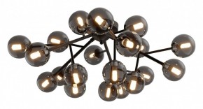 Потолочная люстра Maytoni Dallas MOD545CL-20B в Краснокамске - krasnokamsk.mebel24.online | фото 2
