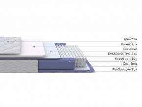 PROxSON Матрас Active Duo S/F (Ткань Трикотаж Эко) 120x190 в Краснокамске - krasnokamsk.mebel24.online | фото 2