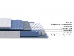 PROxSON Матрас Active M Roll (Ткань Трикотаж Эко) 120x200 в Краснокамске - krasnokamsk.mebel24.online | фото 2