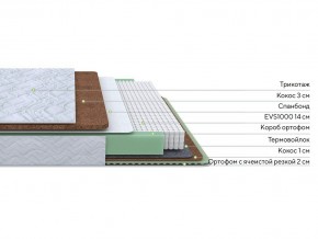 PROxSON Матрас Green Duo M/F (Tricotage Dream) 140x195 в Краснокамске - krasnokamsk.mebel24.online | фото 2