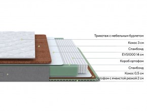 PROxSON Матрас Lux Duo M/F (Non-Stress) 120x200 в Краснокамске - krasnokamsk.mebel24.online | фото 3