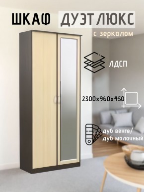 Шкаф 2-х створчатый Дуэт Люкс с зеркалом в Краснокамске - krasnokamsk.mebel24.online | фото