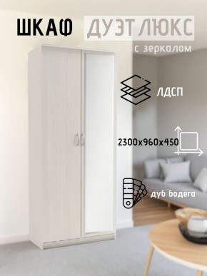 Шкаф 2-х створчатый Дуэт Люкс с зеркалом в Краснокамске - krasnokamsk.mebel24.online | фото 5