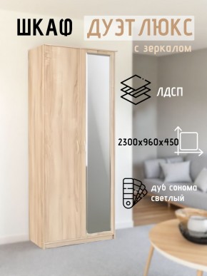 Шкаф 2-х створчатый Дуэт Люкс с зеркалом в Краснокамске - krasnokamsk.mebel24.online | фото 7