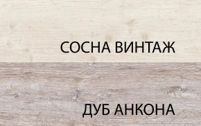 Шкаф 2DG2S, MONAKO, цвет Сосна винтаж/дуб анкона в Краснокамске - krasnokamsk.mebel24.online | фото