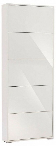 Шкаф для обуви Viva-5S в Краснокамске - krasnokamsk.mebel24.online | фото