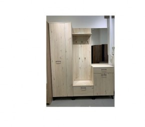 Шкаф для одежды 2-х дверный София 1 в Краснокамске - krasnokamsk.mebel24.online | фото 6