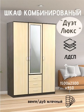Шкаф комбинированный Дуэт Люкс с зеркалом в Краснокамске - krasnokamsk.mebel24.online | фото 3