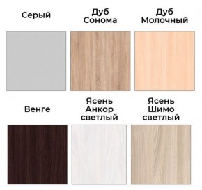 Шкаф-купе ХИТ 22-4-17-55 (420) в Краснокамске - krasnokamsk.mebel24.online | фото 3