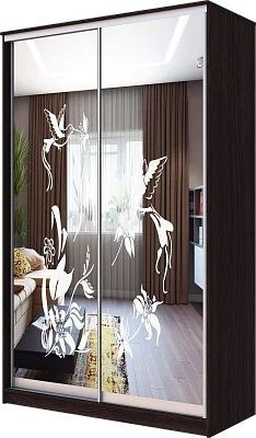 Шкаф-купе ХИТ 23-4-12/2-66 КОЛИБРИ в Краснокамске - krasnokamsk.mebel24.online | фото