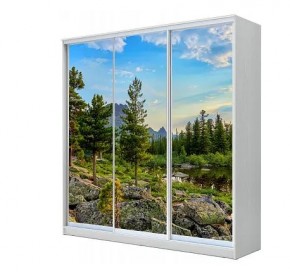 Шкаф-купе ХИТ 23-4-20-777 (420) в Краснокамске - krasnokamsk.mebel24.online | фото