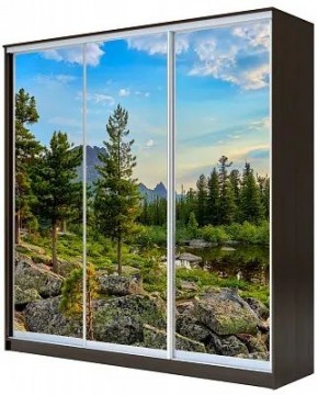 Шкаф-купе ХИТ 23-4-20-777 ПРИРОДА в Краснокамске - krasnokamsk.mebel24.online | фото