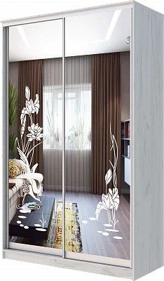 Шкаф-купе ХИТ 24-14-66 ЦАПЛИ в Краснокамске - krasnokamsk.mebel24.online | фото