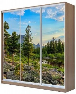 Шкаф-купе ХИТ 24-20/2-777 ПРИРОДА в Краснокамске - krasnokamsk.mebel24.online | фото