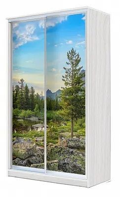 Шкаф-купе ХИТ 24-4-15-77 ПРИРОДА в Краснокамске - krasnokamsk.mebel24.online | фото
