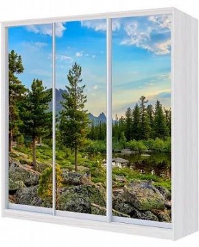 Шкаф-купе ХИТ 24-4-18/2-777 ПРИРОДА в Краснокамске - krasnokamsk.mebel24.online | фото