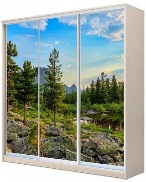 Шкаф-купе ХИТ 24-4-20-777 ПРИРОДА в Краснокамске - krasnokamsk.mebel24.online | фото