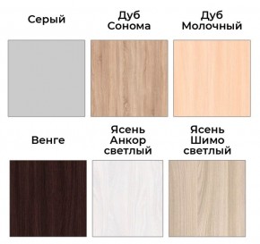 Шкаф-купе ХИТ-У-22-4-11 в Краснокамске - krasnokamsk.mebel24.online | фото 3